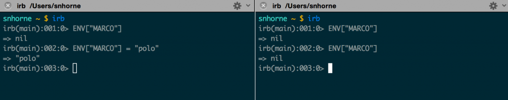 Adding an environment variable to one process doesn't change it for other processes