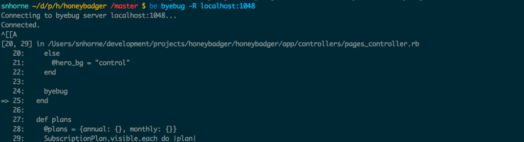 The byebug remote debugger in action