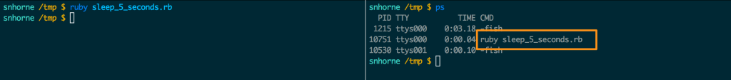 The full ruby command is listed as the process name