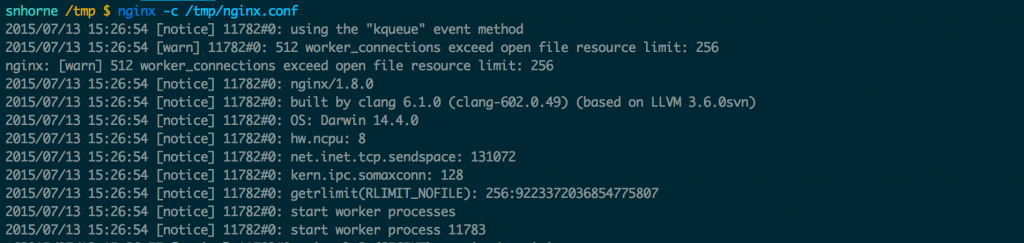 Nginx running in non-daemon mode.