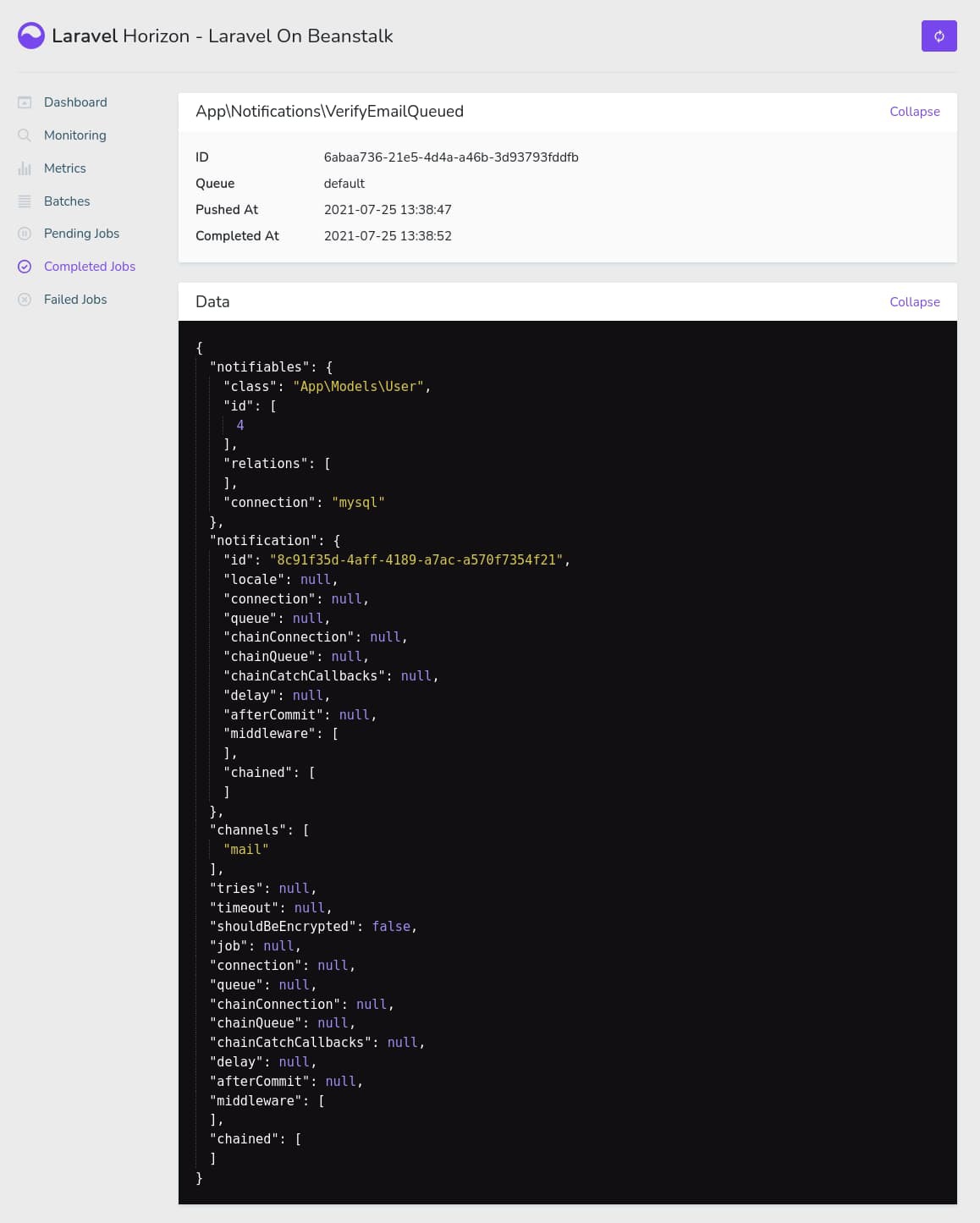 Laravel Horizon job details