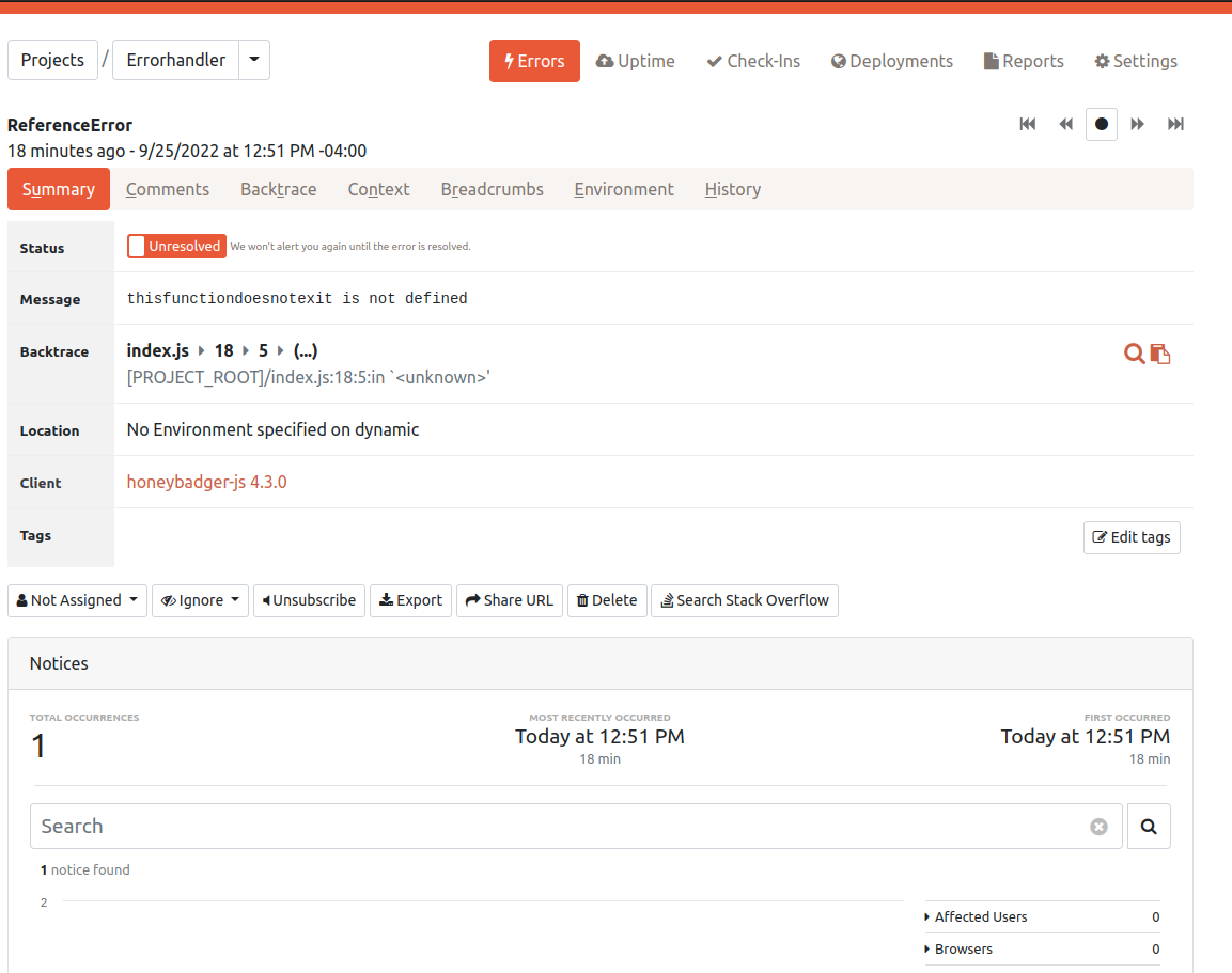 Honeybadger error details