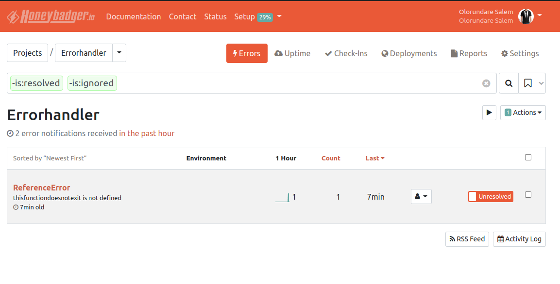 Honeybadger error page