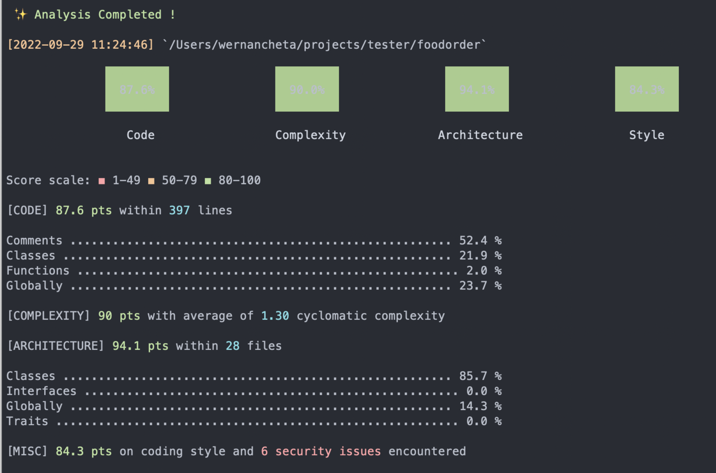 php insights issues displayed on the terminal