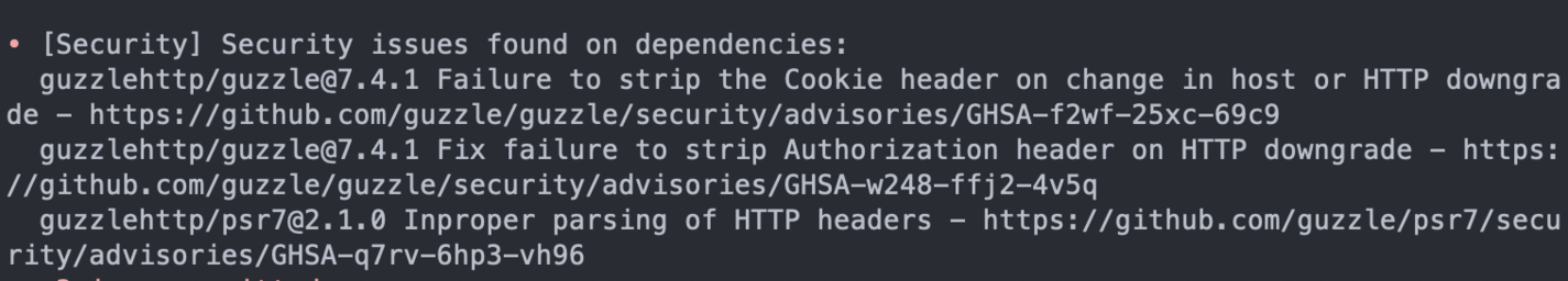 Terminal output of PHP insights security issues