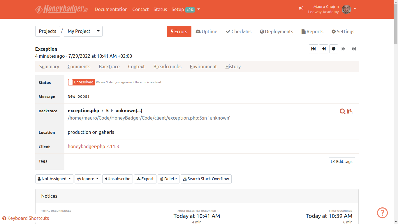 Detailed view of the exception