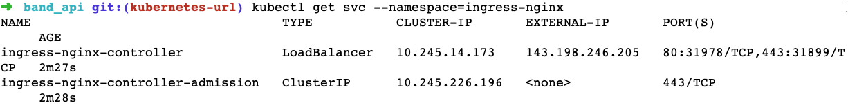 Get NGINX Ingress controller load balancer public IP