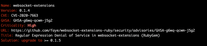 Issue on bundler-audit